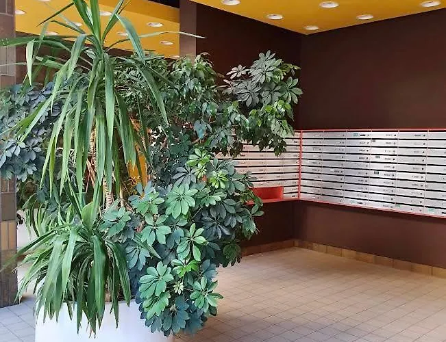 Apartment Un Cocon A Deux Pas Du Metro Et Avec Parking Inclus Paris